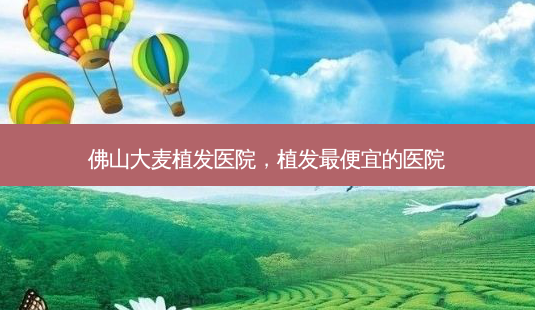 佛山大麦植发医院,植发便宜的医院-第1张图片-美呗严选网 佛山大麦植发医院,植发便宜的医院-第1张图片-美呗严选网