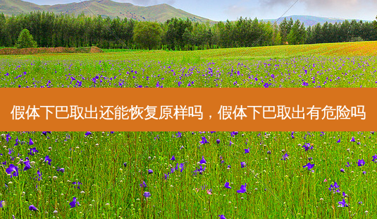 假体下巴取出还能恢复原样吗,假体下巴取出有危险吗-第1张图片-美呗严选网 假体下巴取出还能恢复原样吗,假体下巴取出有危险吗-第1张图片-美呗严选网