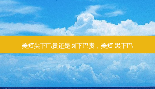 美短尖下巴贵还是圆下巴贵，美短 黑下巴-第1张图片-美呗严选网