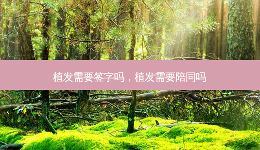 植发需要签字吗,植发需要陪同吗-第1张图片-美呗严选网 植发需要签字吗,植发需要陪同吗-第1张图片-美呗严选网