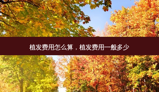 植发费用怎么算，植发费用一般多少-第1张图片-美呗严选网