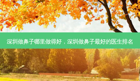 深圳做鼻子哪里做得好，深圳做鼻子好的医生排名-第1张图片-美呗严选网