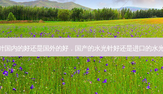 水光针国内的好还是国外的好，国产的水光针好还是进口的水光针好-第1张图片-美呗严选网
