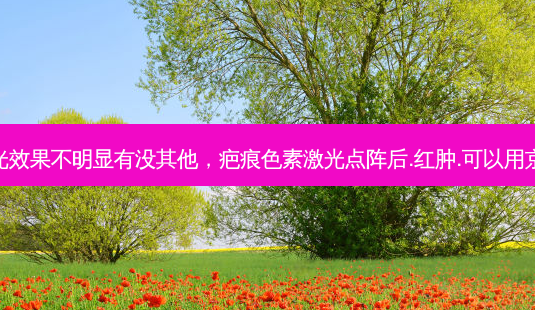 疤痕色素激光效果不明显有没其他，疤痕色素激光点阵后.红肿.可以用京万红软膏吗-第1张图片-美呗严选网