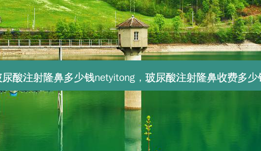 玻尿酸注射隆鼻多少钱netyitong,玻尿酸注射隆鼻收费多少钱-第1张图片-美呗严选网 玻尿酸注射隆鼻多少钱netyitong,玻尿酸注射隆鼻收费多少钱-第1张图片-美呗严选网