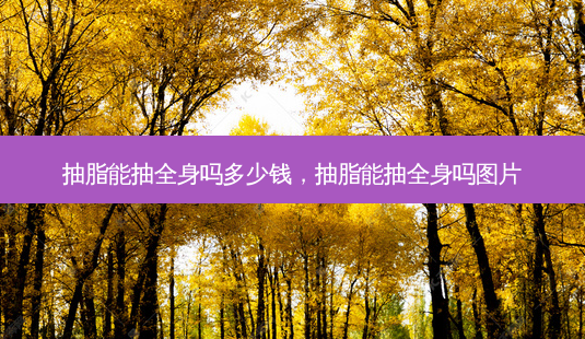 抽脂能抽全身吗多少钱,抽脂能抽全身吗图片-第1张图片-美呗严选网 抽脂能抽全身吗多少钱,抽脂能抽全身吗图片-第1张图片-美呗严选网