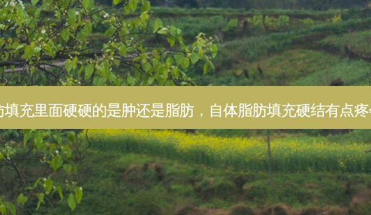 自体脂肪填充里面硬硬的是肿还是脂肪,自体脂肪填充硬结有点疼会致癌吗-第1张图片-美呗严选网 自体脂肪填充里面硬硬的是肿还是脂肪,自体脂肪填充硬结有点疼会致癌吗-第1张图片-美呗严选网
