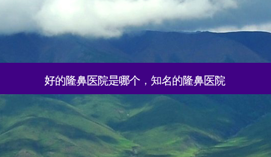 好的隆鼻医院是哪个，知名的隆鼻医院-第1张图片-美呗严选网