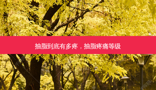 抽脂到底有多疼,抽脂疼痛等级-第1张图片-美呗严选网 抽脂到底有多疼,抽脂疼痛等级-第1张图片-美呗严选网