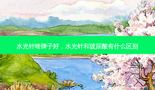 水光针啥牌子好,水光针和玻尿酸有什么区别-第1张图片-美呗严选网 水光针啥牌子好,水光针和玻尿酸有什么区别-第1张图片-美呗严选网