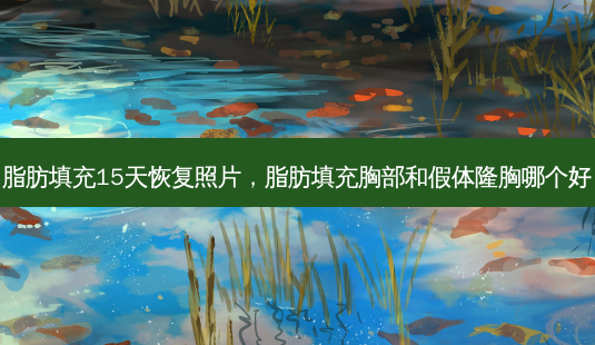 脂肪填充15天恢复照片,脂肪填充胸部和假体隆胸哪个好-第1张图片-美呗严选网 脂肪填充15天恢复照片,脂肪填充胸部和假体隆胸哪个好-第1张图片-美呗严选网