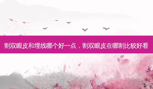 割双眼皮和埋线哪个好一点，割双眼皮在哪割比较好看-第1张图片-美呗严选网