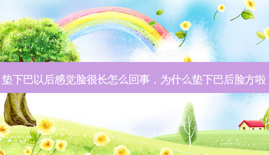 垫下巴以后感觉脸很长怎么回事,为什么垫下巴后脸方啦-第1张图片-美呗严选网 垫下巴以后感觉脸很长怎么回事,为什么垫下巴后脸方啦-第1张图片-美呗严选网