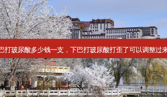 下巴打玻尿酸多少钱一支,下巴打玻尿酸打歪了可以调整过来么-第1张图片-美呗严选网 下巴打玻尿酸多少钱一支,下巴打玻尿酸打歪了可以调整过来么-第1张图片-美呗严选网