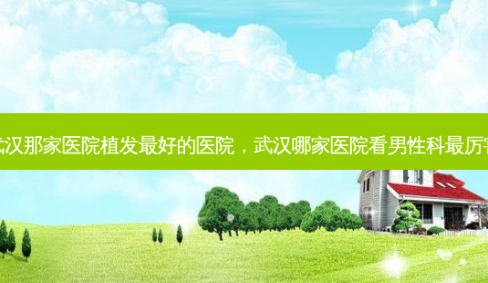 武汉那家医院植发好的医院，武汉哪家医院看男性科厉害-第1张图片-美呗严选网