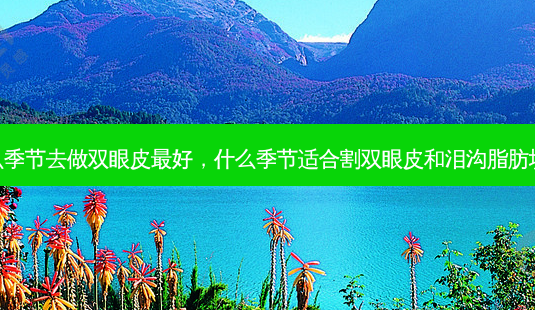 什么季节去做双眼皮好，什么季节适合割双眼皮和泪沟脂肪填充-第1张图片-美呗严选网