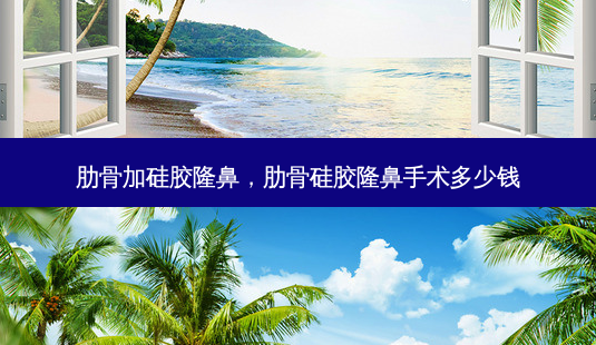 肋骨加硅胶隆鼻,肋骨硅胶隆鼻手术多少钱-第1张图片-美呗严选网 肋骨加硅胶隆鼻,肋骨硅胶隆鼻手术多少钱-第1张图片-美呗严选网