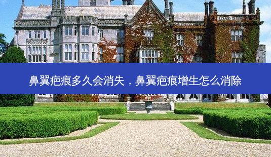 鼻翼疤痕多久会消失,鼻翼疤痕增生怎么消除-第1张图片-美呗严选网 鼻翼疤痕多久会消失,鼻翼疤痕增生怎么消除-第1张图片-美呗严选网