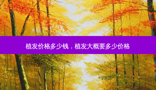 植发价格多少钱,植发大概要多少价格-第1张图片-美呗严选网 植发价格多少钱,植发大概要多少价格-第1张图片-美呗严选网