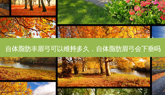 自体脂肪丰眉弓可以维持多久,自体脂肪眉弓会下垂吗-第1张图片-美呗严选网 自体脂肪丰眉弓可以维持多久,自体脂肪眉弓会下垂吗-第1张图片-美呗严选网