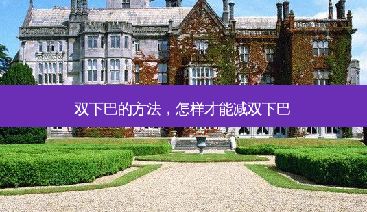 双下巴的 *** ，怎样才能减双下巴-第1张图片-美呗严选网