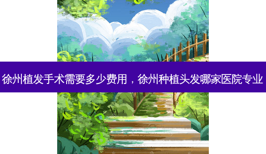徐州植发手术需要多少费用,徐州种植头发哪家医院专业-第1张图片-美呗严选网 徐州植发手术需要多少费用,徐州种植头发哪家医院专业-第1张图片-美呗严选网