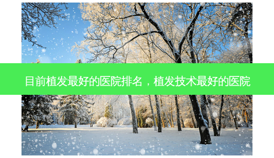 目前植发好的医院排名，植发技术好的医院-第1张图片-美呗严选网