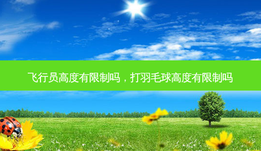 飞行员高度有限制吗，打羽毛球高度有限制吗-第1张图片-美呗严选网