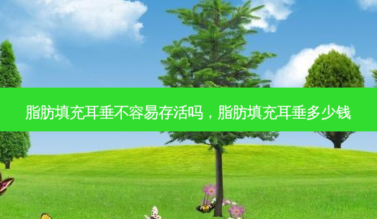 脂肪填充耳垂不容易存活吗,脂肪填充耳垂多少钱-第1张图片-美呗严选网 脂肪填充耳垂不容易存活吗,脂肪填充耳垂多少钱-第1张图片-美呗严选网