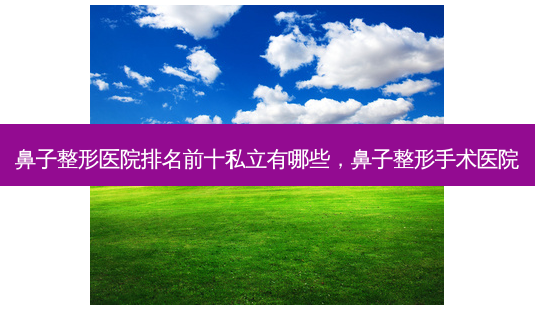鼻子整形医院排名前十私立有哪些,鼻子整形手术医院-第1张图片-美呗严选网 鼻子整形医院排名前十私立有哪些,鼻子整形手术医院-第1张图片-美呗严选网