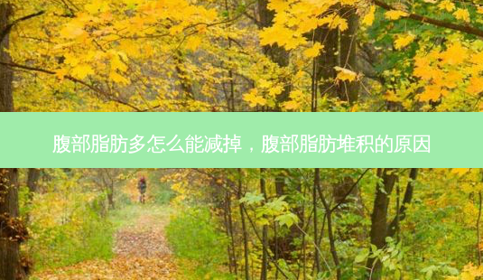 腹部脂肪多怎么能减掉，腹部脂肪堆积的原因-第1张图片-美呗严选网