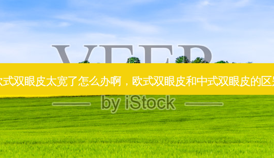 欧式双眼皮太宽了怎么办啊，欧式双眼皮和中式双眼皮的区别-第1张图片-美呗严选网
