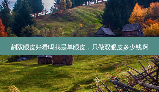 割双眼皮好看吗我是单眼皮,只做双眼皮多少钱啊-第1张图片-美呗严选网 割双眼皮好看吗我是单眼皮,只做双眼皮多少钱啊-第1张图片-美呗严选网