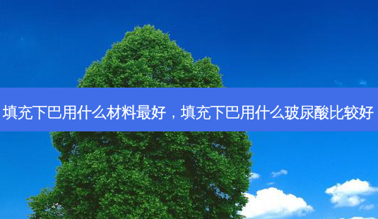 填充下巴用什么材料好,填充下巴用什么玻尿酸比较好-第1张图片-美呗严选网 填充下巴用什么材料好,填充下巴用什么玻尿酸比较好-第1张图片-美呗严选网