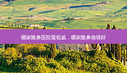 哪家隆鼻医院,哪家隆鼻做得好-第1张图片-美呗严选网 哪家隆鼻医院,哪家隆鼻做得好-第1张图片-美呗严选网