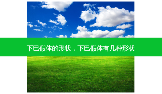 下巴假体的形状,下巴假体有几种形状-第1张图片-美呗严选网 下巴假体的形状,下巴假体有几种形状-第1张图片-美呗严选网