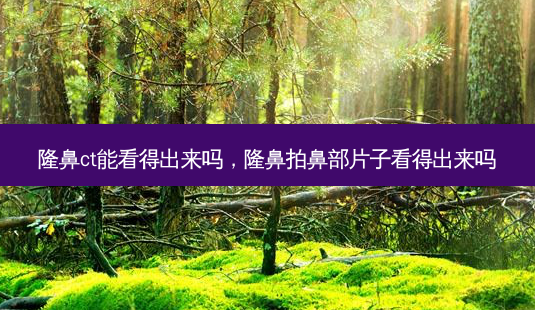 隆鼻ct能看得出来吗,隆鼻拍鼻部片子看得出来吗-第1张图片-美呗严选网 隆鼻ct能看得出来吗,隆鼻拍鼻部片子看得出来吗-第1张图片-美呗严选网