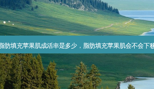 脂肪填充苹果肌成活率是多少,脂肪填充苹果肌会不会下移-第1张图片-美呗严选网 脂肪填充苹果肌成活率是多少,脂肪填充苹果肌会不会下移-第1张图片-美呗严选网