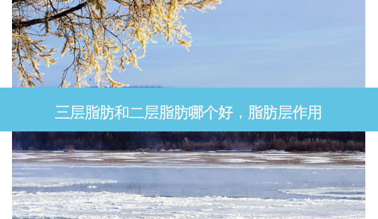 三层脂肪和二层脂肪哪个好,脂肪层作用-第1张图片-美呗严选网 三层脂肪和二层脂肪哪个好,脂肪层作用-第1张图片-美呗严选网