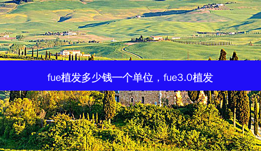 fue植发多少钱一个单位,fue3.0植发-第1张图片-美呗严选网 fue植发多少钱一个单位,fue3.0植发-第1张图片-美呗严选网