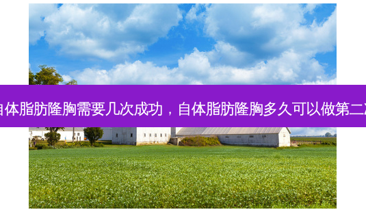 自体脂肪隆胸需要几次成功,自体脂肪隆胸多久可以做第二次-第1张图片-美呗严选网 自体脂肪隆胸需要几次成功,自体脂肪隆胸多久可以做第二次-第1张图片-美呗严选网