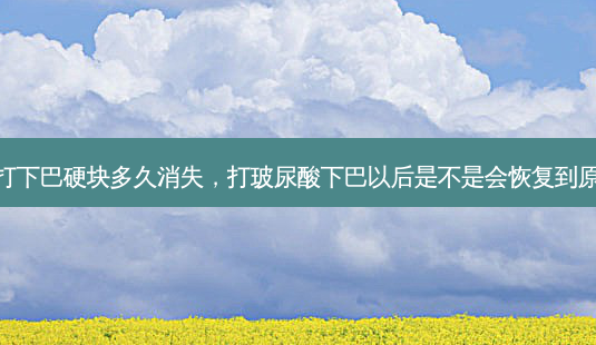 玻尿酸打下巴硬块多久消失,打玻尿酸下巴以后是不是会恢复到原来样子-第1张图片-美呗严选网 玻尿酸打下巴硬块多久消失,打玻尿酸下巴以后是不是会恢复到原来样子-第1张图片-美呗严选网