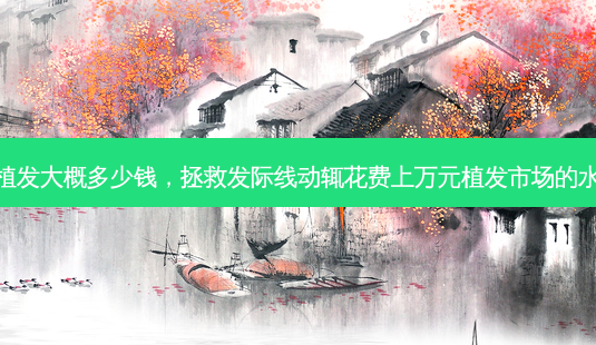 发际线植发大概多少钱,拯救发际线动辄花费上万元植发市场的水有多深-第1张图片-美呗严选网 发际线植发大概多少钱,拯救发际线动辄花费上万元植发市场的水有多深-第1张图片-美呗严选网