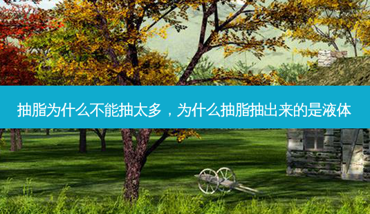 抽脂为什么不能抽太多,为什么抽脂抽出来的是液体-第1张图片-美呗严选网 抽脂为什么不能抽太多,为什么抽脂抽出来的是液体-第1张图片-美呗严选网