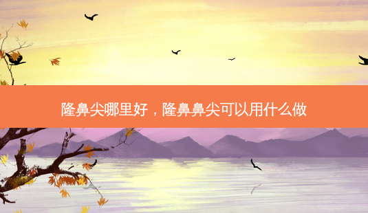 隆鼻尖哪里好,隆鼻鼻尖可以用什么做-第1张图片-美呗严选网 隆鼻尖哪里好,隆鼻鼻尖可以用什么做-第1张图片-美呗严选网