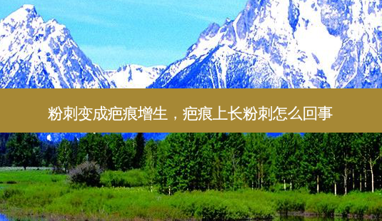 粉刺变成疤痕增生,疤痕上长粉刺怎么回事-第1张图片-美呗严选网 粉刺变成疤痕增生,疤痕上长粉刺怎么回事-第1张图片-美呗严选网