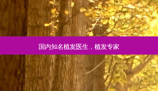 国内知名植发医生,植发专家-第1张图片-美呗严选网 国内知名植发医生,植发专家-第1张图片-美呗严选网