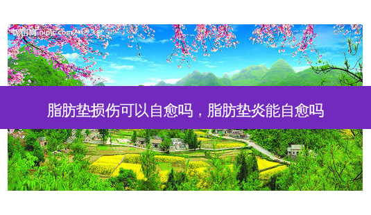脂肪垫损伤可以自愈吗,脂肪垫炎能自愈吗-第1张图片-美呗严选网 脂肪垫损伤可以自愈吗,脂肪垫炎能自愈吗-第1张图片-美呗严选网
