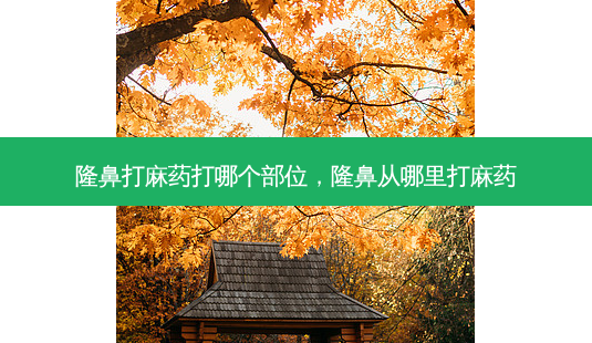 隆鼻打麻药打哪个部位,隆鼻从哪里打麻药-第1张图片-美呗严选网 隆鼻打麻药打哪个部位,隆鼻从哪里打麻药-第1张图片-美呗严选网