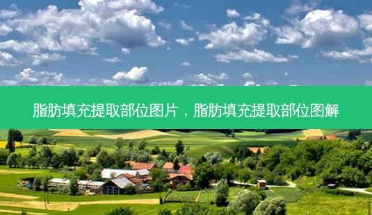 脂肪填充提取部位图片,脂肪填充提取部位图解-第1张图片-美呗严选网 脂肪填充提取部位图片,脂肪填充提取部位图解-第1张图片-美呗严选网